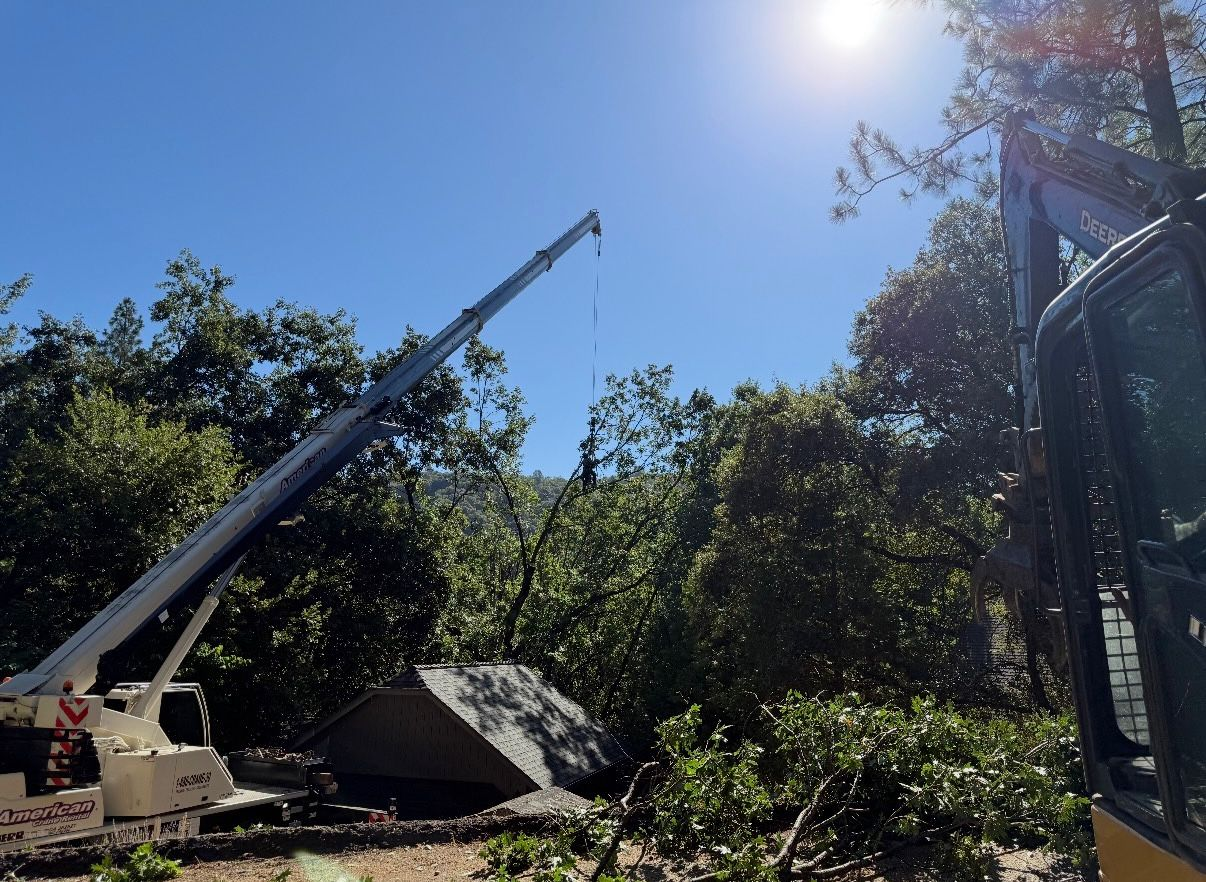 Crane lifting branches during tree removal