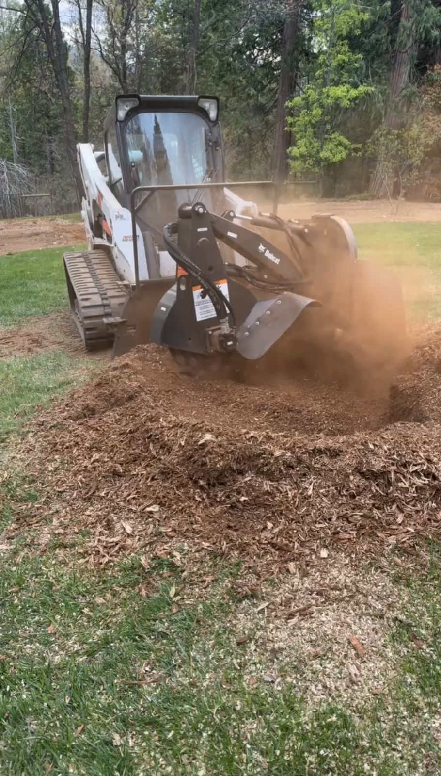 Stump Grinding